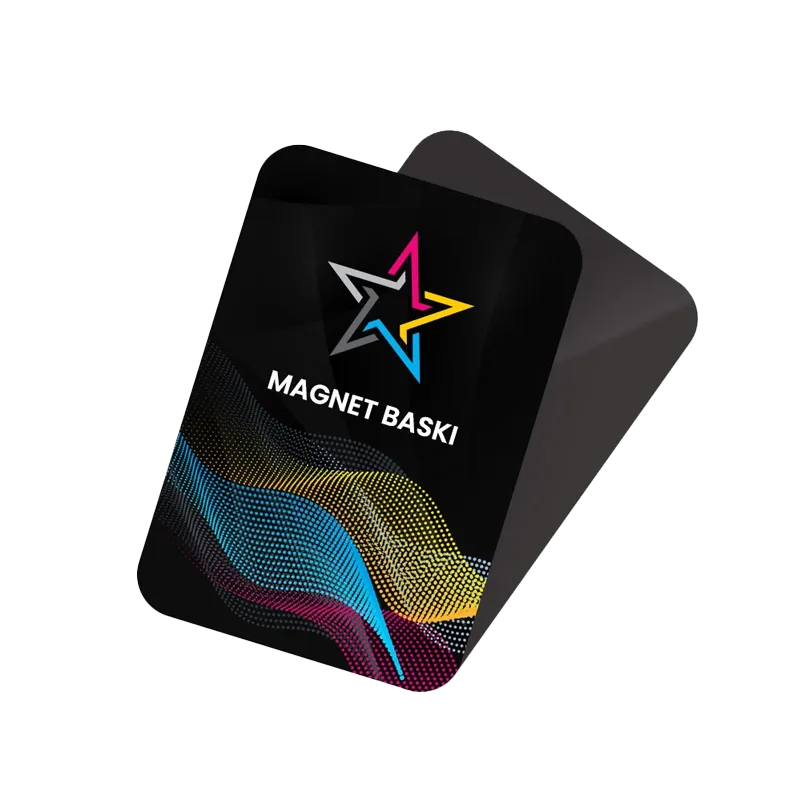 Magnet